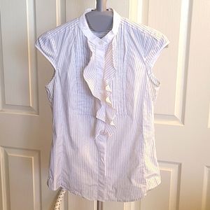 Express Pin-stripe Blouse